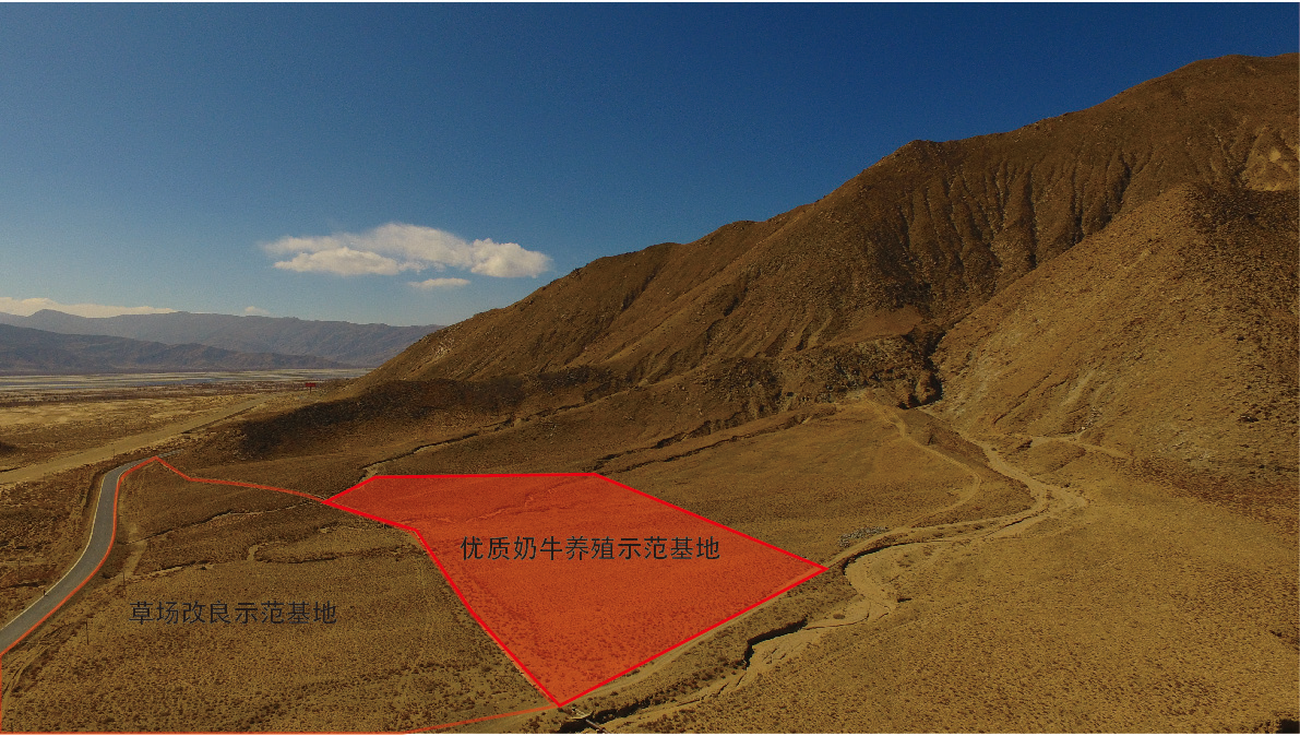 中国·365电子游戏(股份)有限公司-官方网站