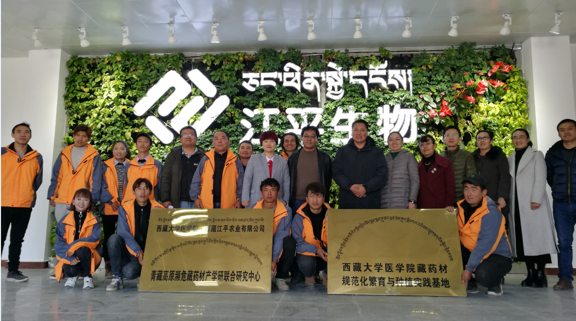 中国·365电子游戏(股份)有限公司-官方网站