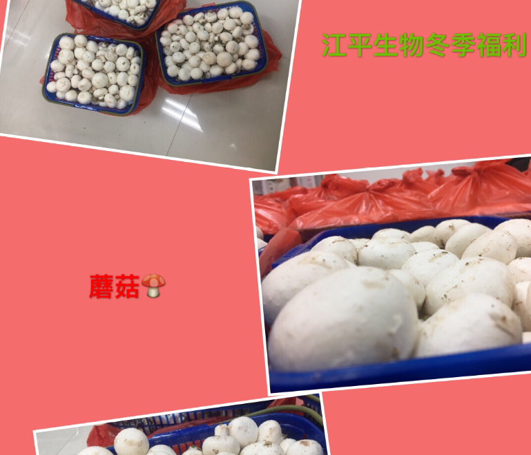 中国·365电子游戏(股份)有限公司-官方网站