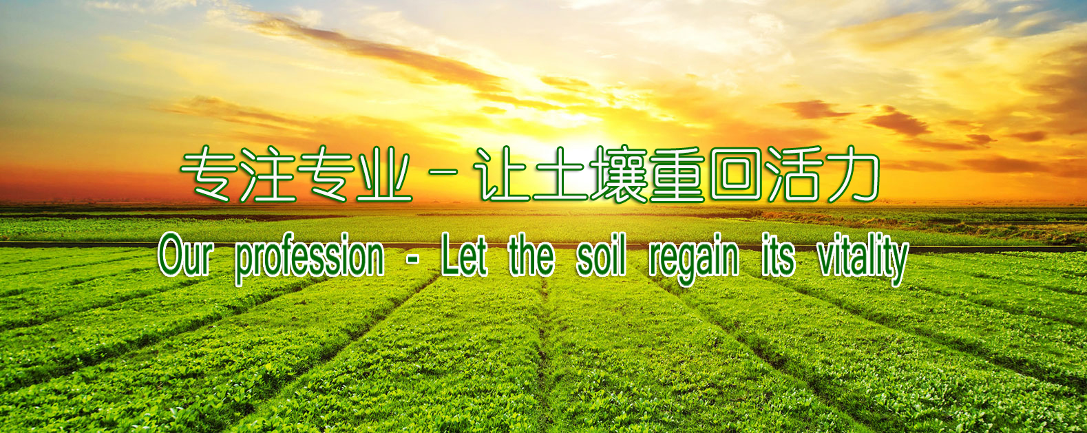 中国·365电子游戏(股份)有限公司-官方网站