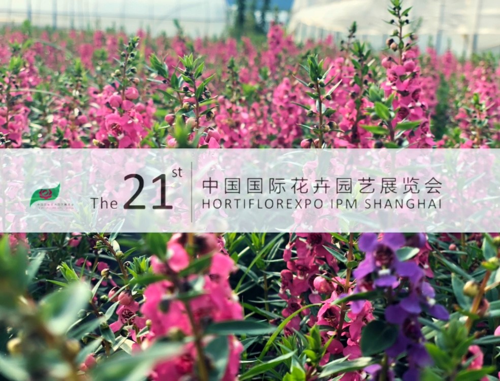 中国·365电子游戏(股份)有限公司-官方网站