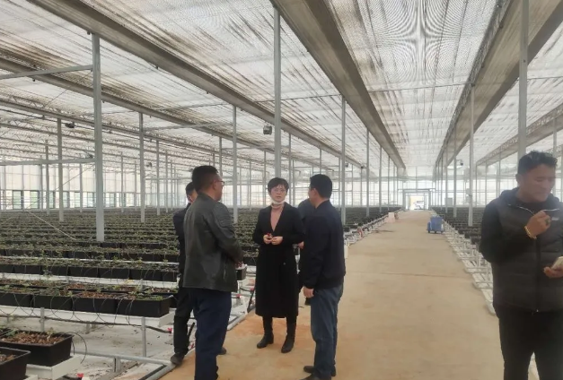 中国·365电子游戏(股份)有限公司-官方网站