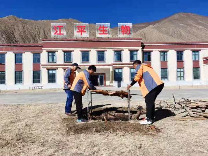 中国·365电子游戏(股份)有限公司-官方网站