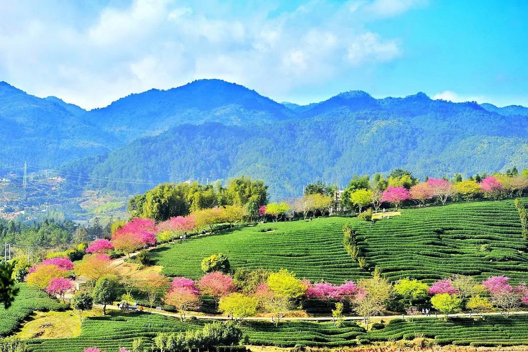 中国·365电子游戏(股份)有限公司-官方网站