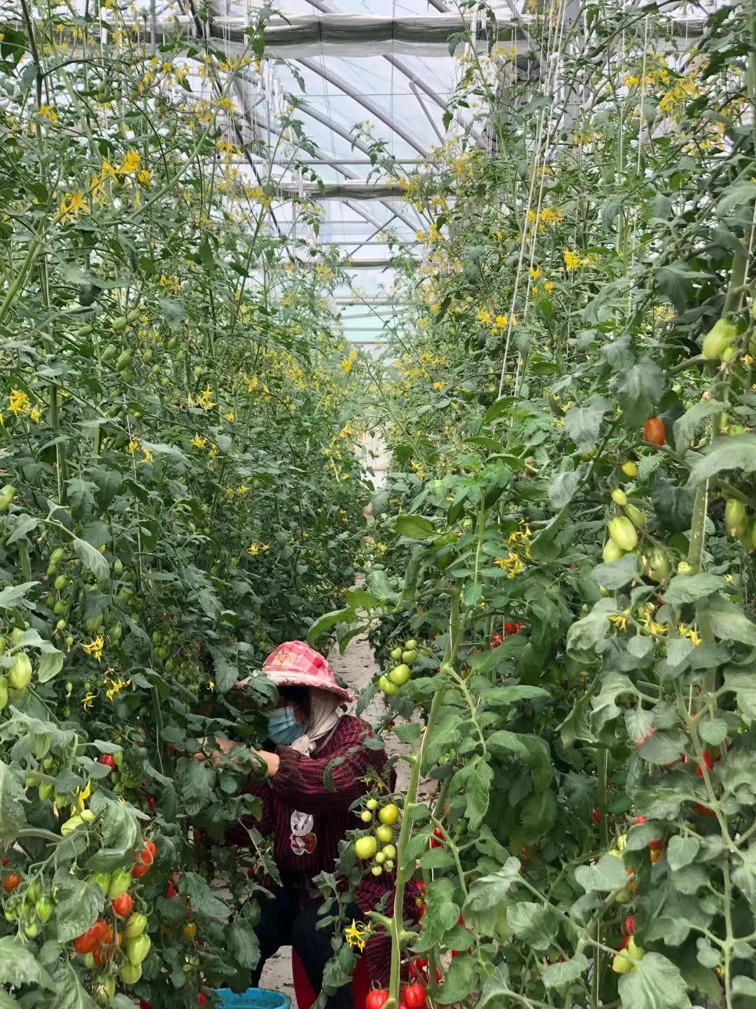 中国·365电子游戏(股份)有限公司-官方网站