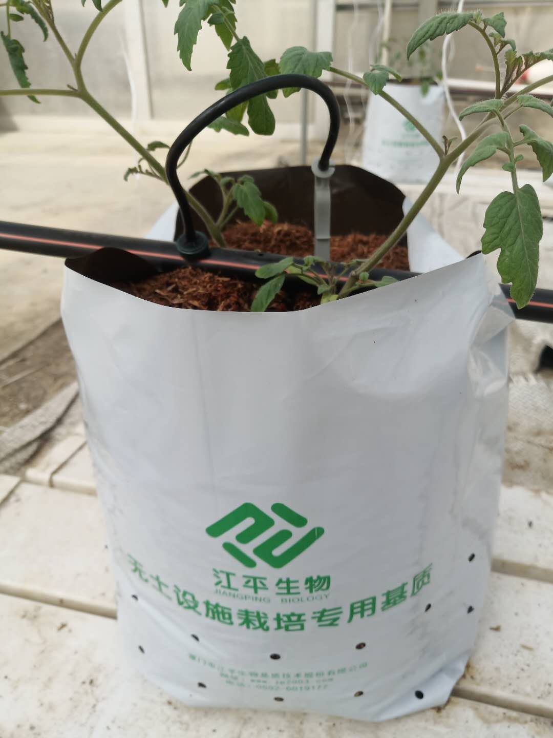 中国·365电子游戏(股份)有限公司-官方网站