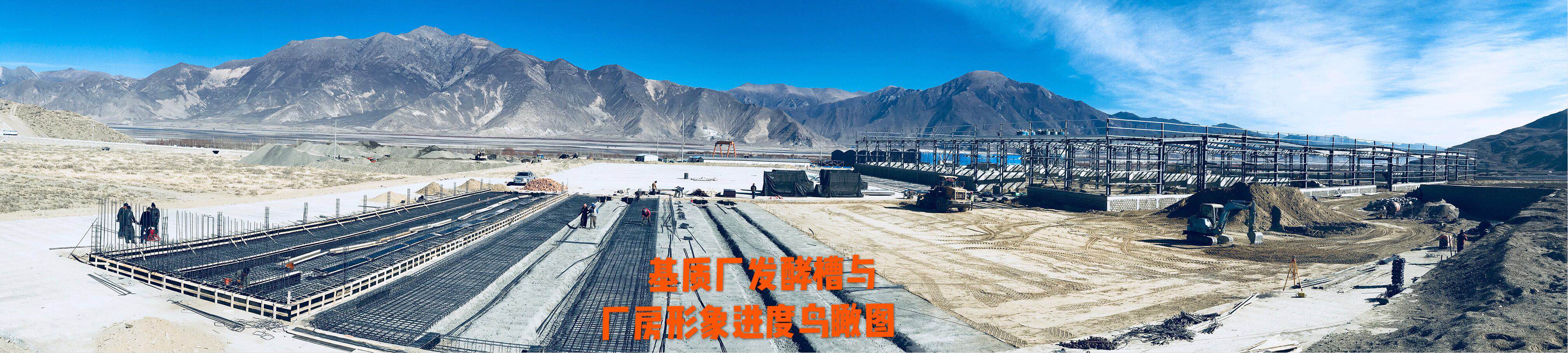 中国·365电子游戏(股份)有限公司-官方网站