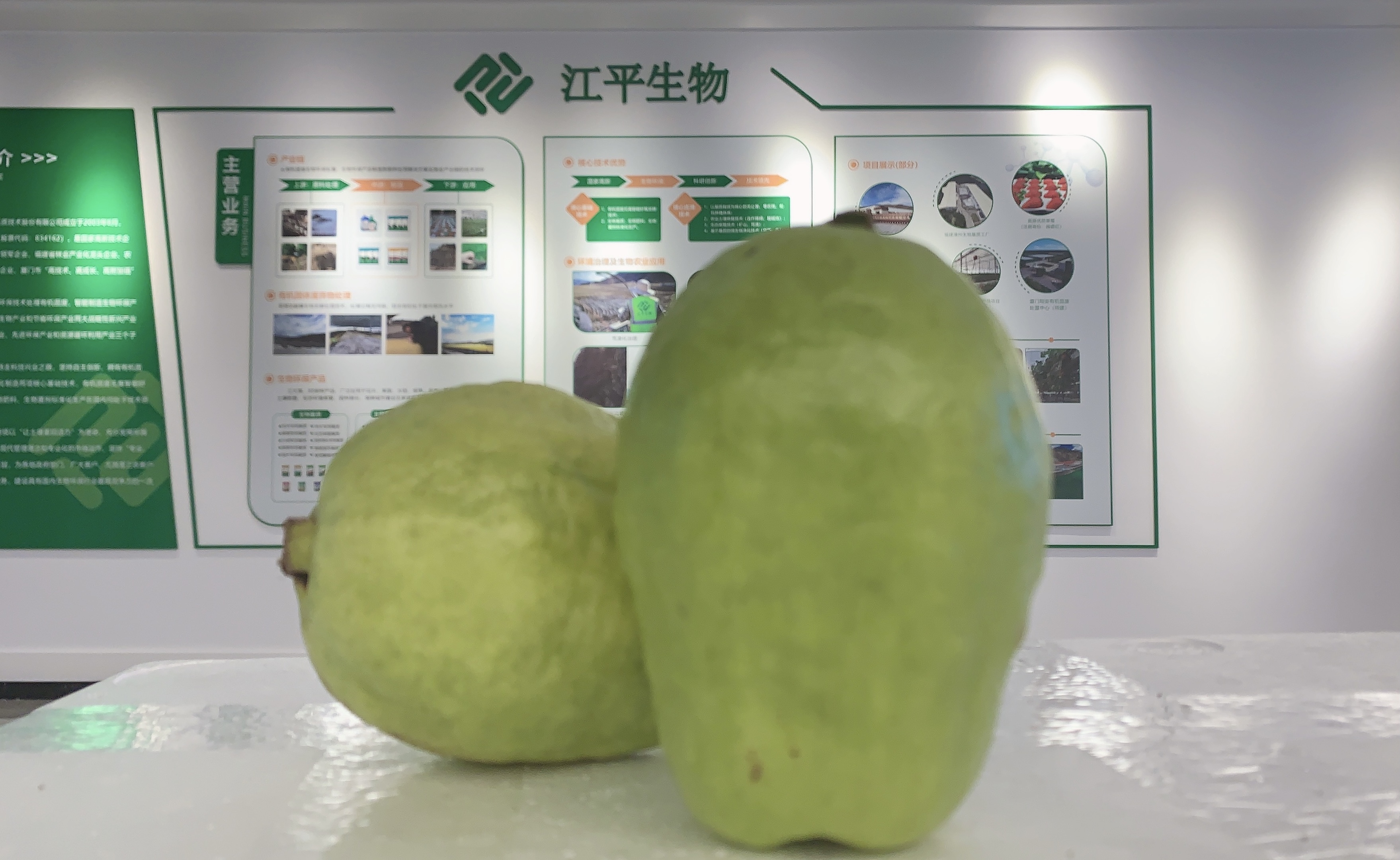 中国·365电子游戏(股份)有限公司-官方网站