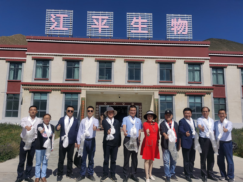 中国·365电子游戏(股份)有限公司-官方网站