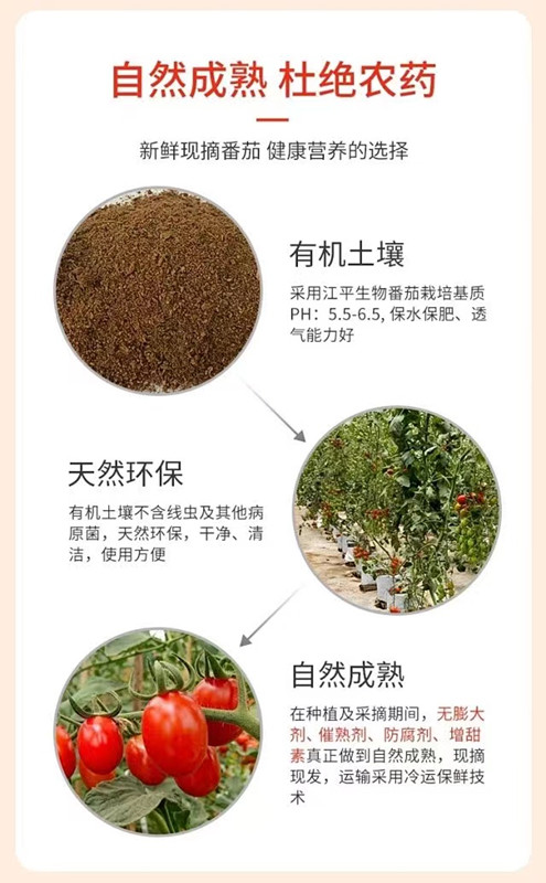 中国·365电子游戏(股份)有限公司-官方网站