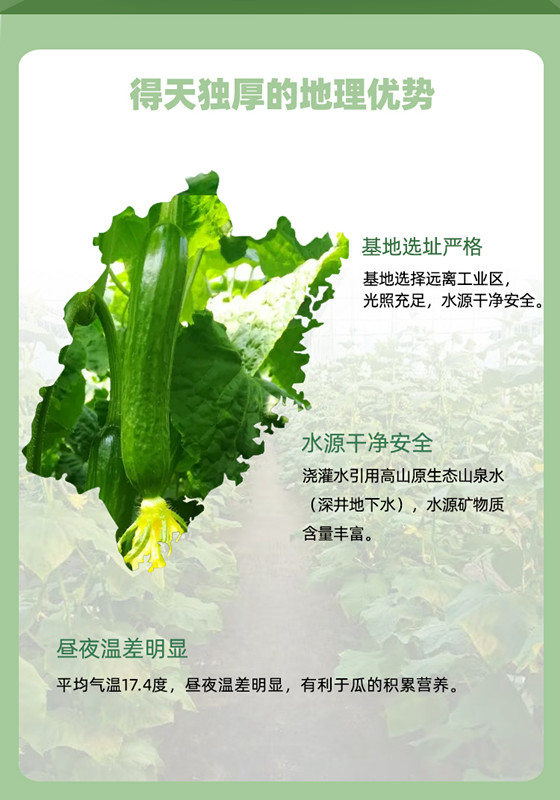 中国·365电子游戏(股份)有限公司-官方网站
