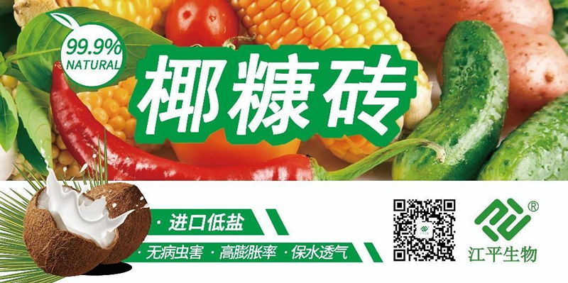 中国·365电子游戏(股份)有限公司-官方网站