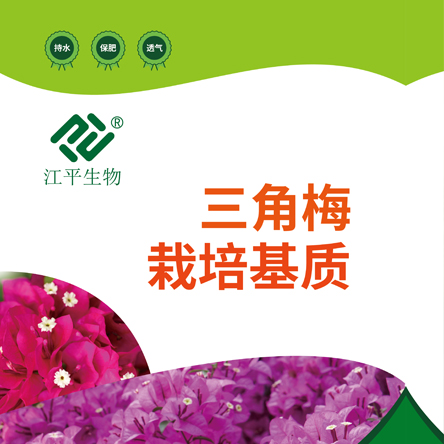 中国·365电子游戏(股份)有限公司-官方网站