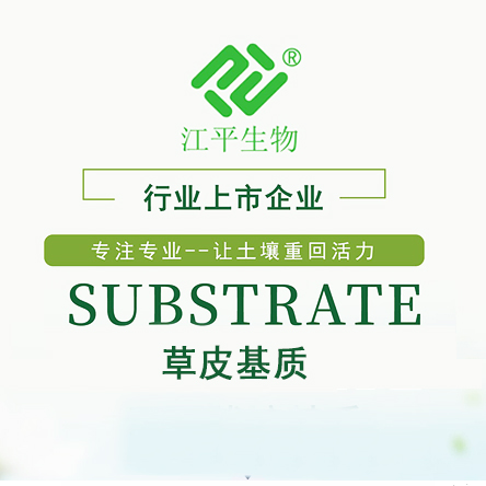 中国·365电子游戏(股份)有限公司-官方网站