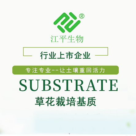 中国·365电子游戏(股份)有限公司-官方网站