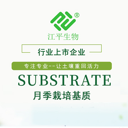 中国·365电子游戏(股份)有限公司-官方网站