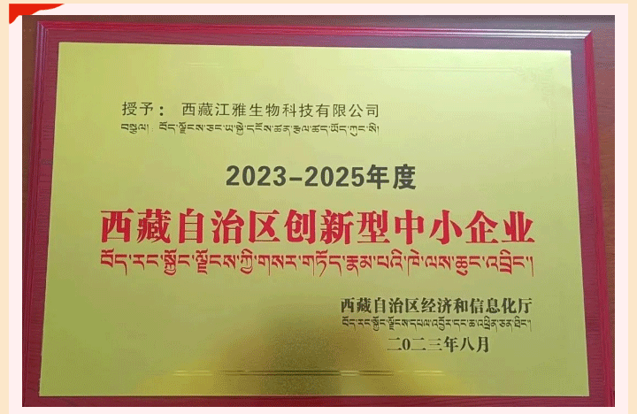 中国·365电子游戏(股份)有限公司-官方网站