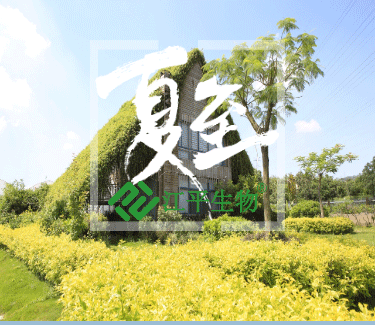 中国·365电子游戏(股份)有限公司-官方网站